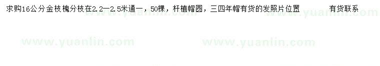 求購(gòu)胸徑16公分金枝槐