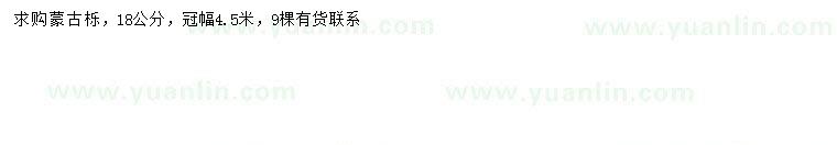 求購冠幅450公分蒙古櫟