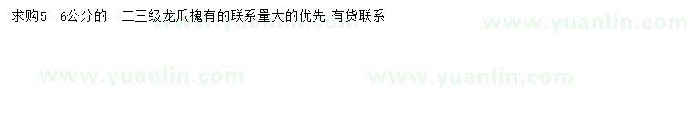 求購6公分龍爪槐