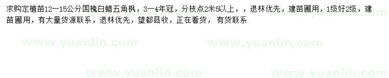 求購15公分國槐
