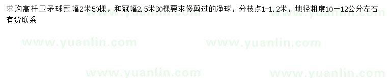 求購(gòu)冠幅200公分高桿衛(wèi)矛球