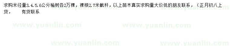 求購米徑6公分榆樹