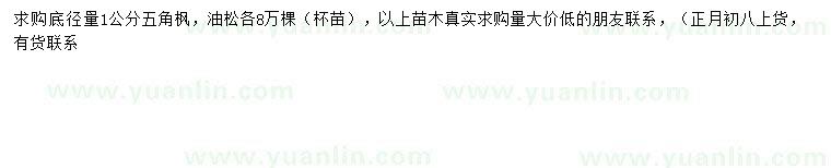 求購地徑1公分五角楓