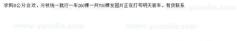 求購高8公分合歡