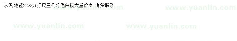 求購地徑22公分毛白楊
