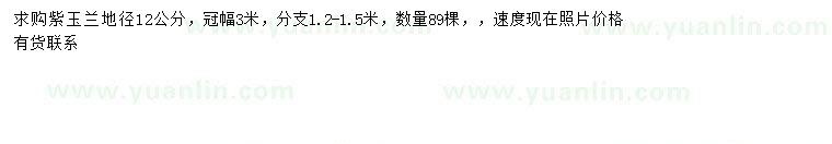 求購地徑12公分紫玉蘭