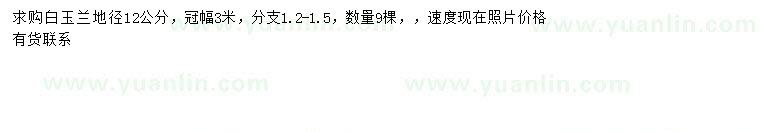 求購地徑12公分白玉蘭