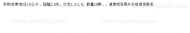 求購地徑15公分吉野