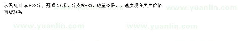 求購胸徑8公分紅葉李