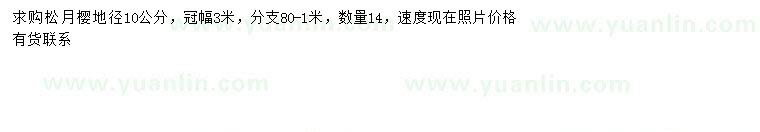 求購(gòu)地徑10公分松月櫻