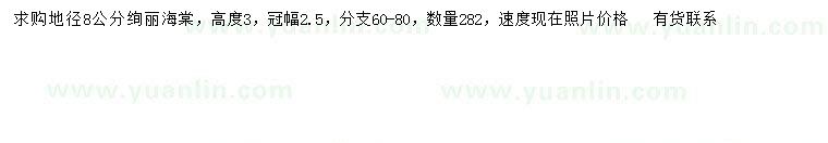 求購地徑8公分絢麗海棠