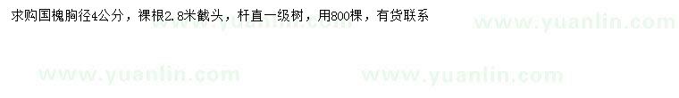 求購胸徑4公分國槐