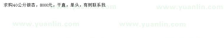 求購胸徑40公分銀杏