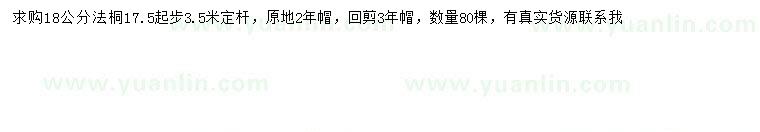求購胸徑18公分法桐