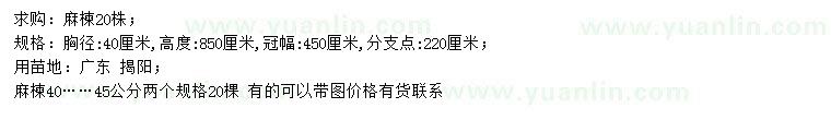 求購胸徑40公分麻楝