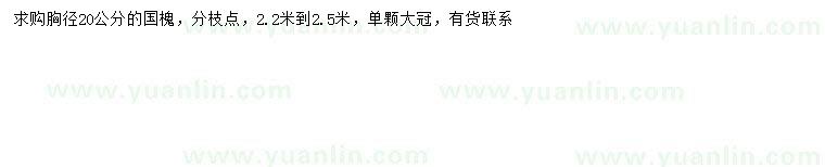 求購胸徑20公分國槐