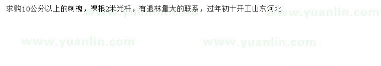 求購10公分以上刺槐