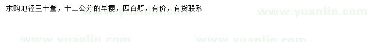 求購30量12公分早櫻