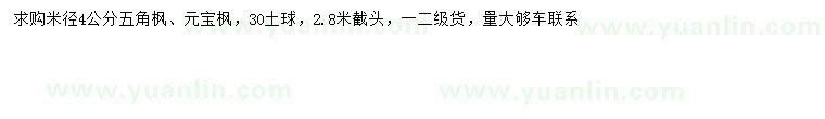 求購(gòu)米徑4公分五角楓、元寶楓