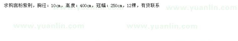 求購胸徑10公分宮粉紫荊