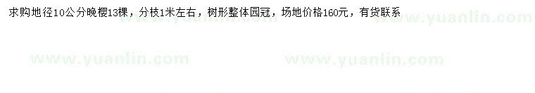 求購(gòu)地徑10公分晚櫻