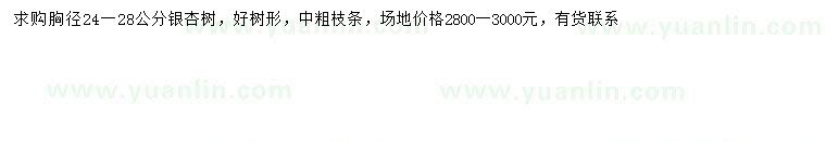 求購(gòu)胸徑24-28公分銀杏樹
