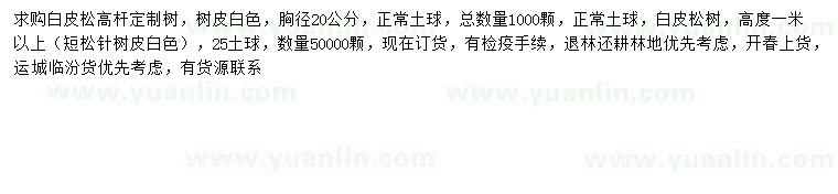 求購胸徑20公分高桿白皮松、高1米以上白皮松