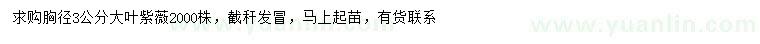 求購胸徑3公分大葉紫薇