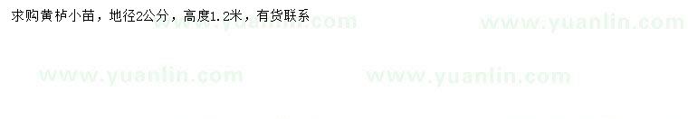 求購地徑2公分黃櫨小苗