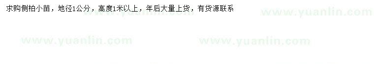 求購地徑1公分側(cè)柏小苗