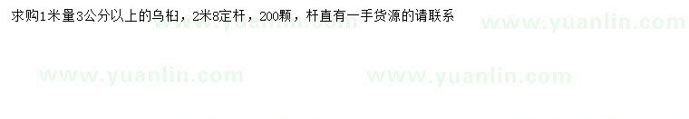 求購1米量3公分以上烏桕