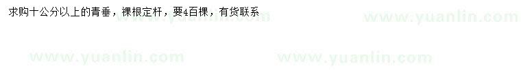 求購10公分以上青垂