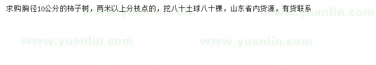 求購(gòu)胸徑10公分柿子樹