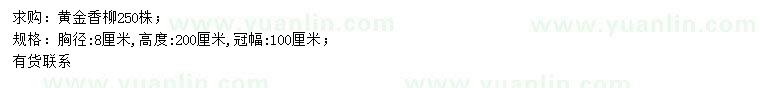 求購(gòu)胸徑8公分黃金香柳