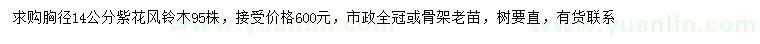 求購胸徑14公分紫花風(fēng)鈴木