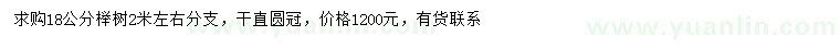 求購18公分櫸樹