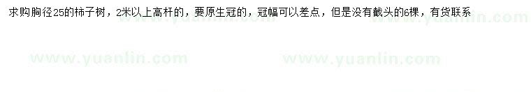 求購胸徑25公分柿子樹