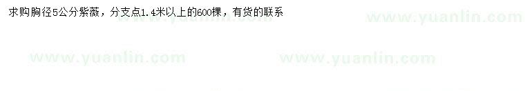 求購胸徑5公分紫薇