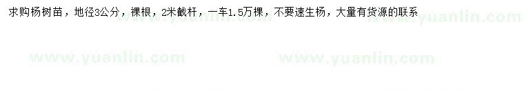 求購地徑3公分楊樹(shù)