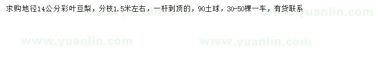 求購地徑14公分彩葉豆梨
