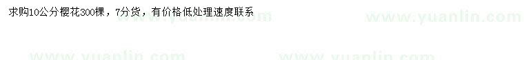 求購10公分櫻花