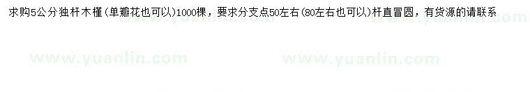求購(gòu)5公分木槿