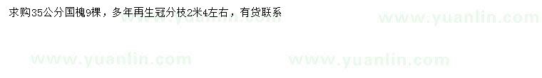 求購35公分國槐