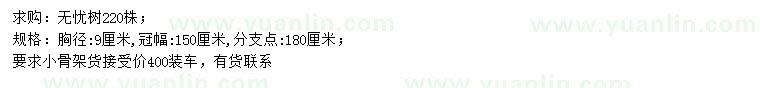 求購胸徑9公分無憂樹