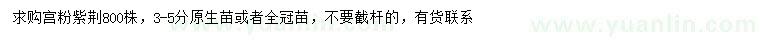 求購(gòu)3-5公分宮粉紫荊