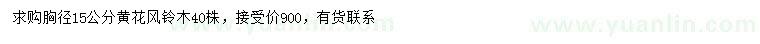 求購胸徑15公分黃花風(fēng)鈴木