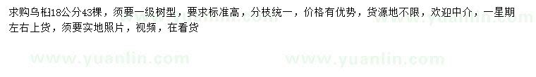 求購18公分烏桕