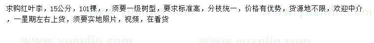 求購15公分紅葉李