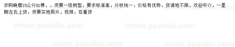 求購15公分晚櫻