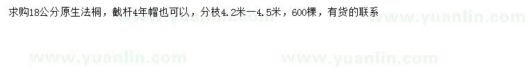 求購18公分法桐